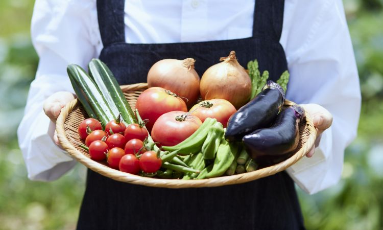 野菜を持っている様子