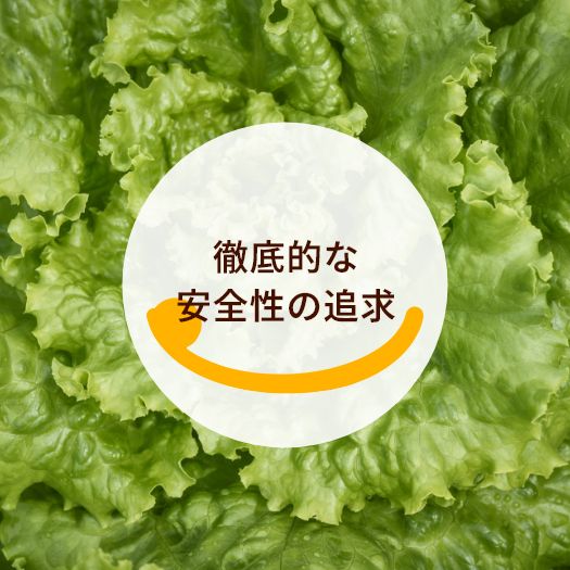 徹底的な安全性の追求